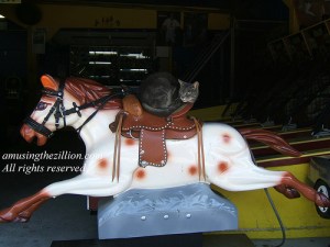 Target the Cat at Home in the Coney Island Arcade.  Photo © Manny Cohen