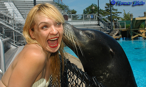 Julie Finds a Friend © 2007 Norman Blake. All rights reserved. NB Photo Flash via flickr