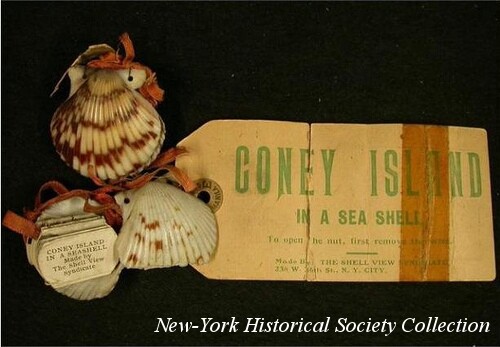 Coney Island Seashell