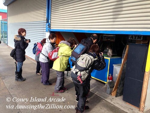 Target the Coney Island Cat