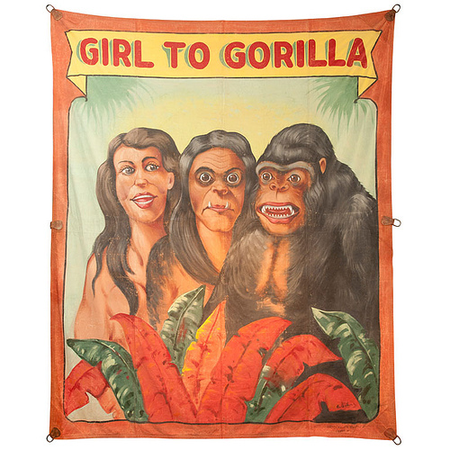 Girl to Gorilla