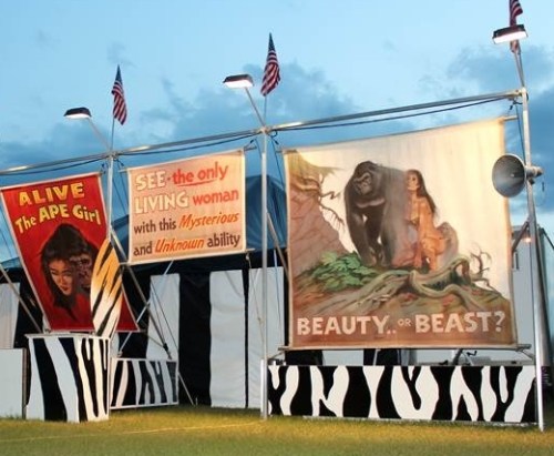 Girl to Gorilla Show