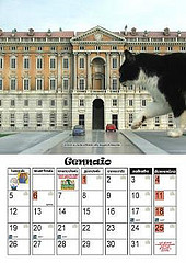 Italia in Miniatura Cat Calendar