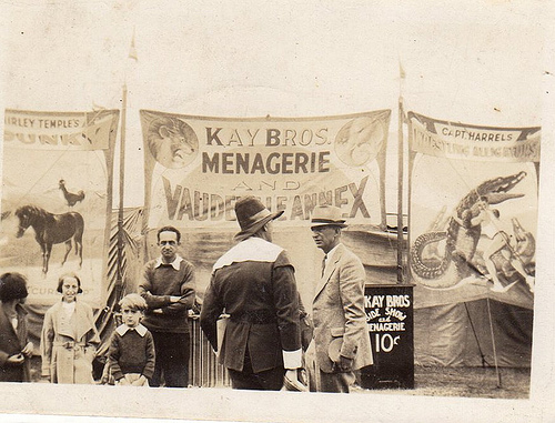 Kay Bros Menaerie