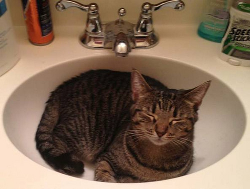 Brooklyn Rescue Umbrella