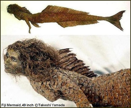 Fiji Mermaid