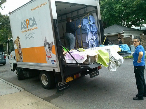ASPCA Wheels of Hope