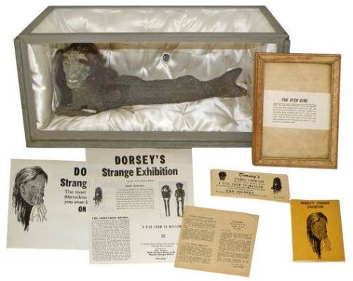 Homer Tate Gaff The Feejee Mermaid