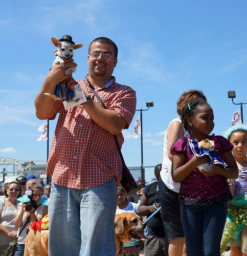 Paquito the Chihuahua and Fluffy the Guinea Pig were among the winners of the Pet Costume Contest in 2012. Photo via Deno’s Wonder Wheel Park
