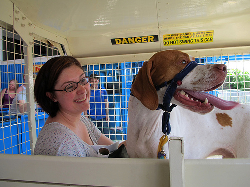 Soapy the Pointer Rides the Wonder Wheel
