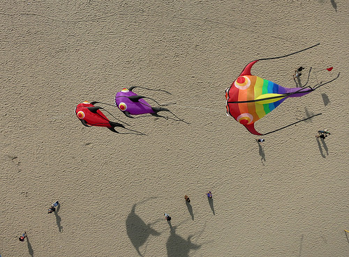 Kite Aerial Photography Coney Island