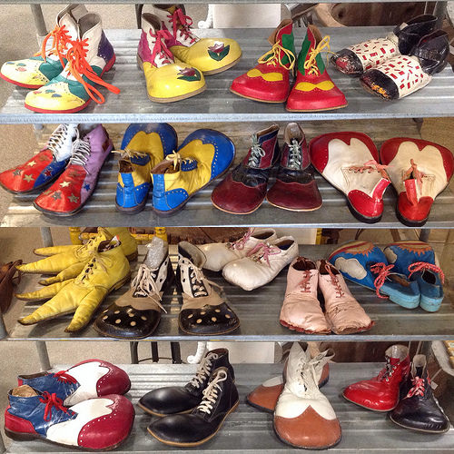 Collection of Clown Shoes