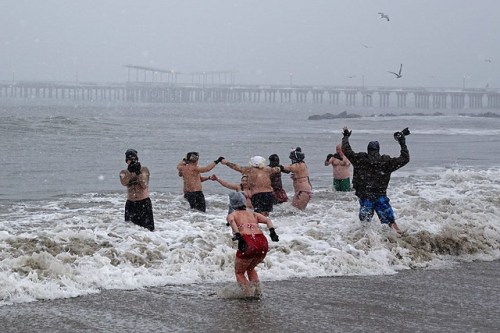 Coney Island Polar Bears Blizzard Swim